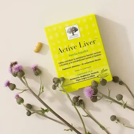 Active Liver 2x30 таблеток, New Nordic: цены и характеристики