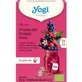 YOGI TEA Cold Brew Органический чай с лесными ягодами 15x2 г