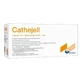 Cathejell, зволожувальний гель для катетеризації з лідокаїном, 12,5 г × 25 шт.