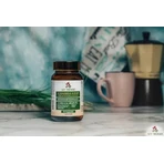 My Herbs Candida Stop, капсули, 60 шт.: ціни та характеристики