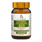 My Herbs Вітаміни групи B, комплекс B 25, капсули, 100 шт.: ціни та характеристики