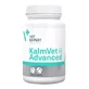 Vet Expert Kalmvet Advanced, препарат для полегшення симптомів стресу у собак і котів, капсули, 60 шт.