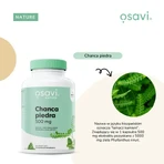 Osavi Chanca piedra 500 мг, тверді капсули, 120 шт.: ціни та характеристики