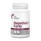 Vet Expert Hepatiale Forte small breed &amp;amp; cats — препарат для підтримки функції печінки у собак малих порід та котів, капсули, 40 шт.