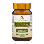 My Herbs Lactobacillus Plantarum 299V з натрієвим масляним ефіром, капсули, 60 шт.: ціни та характеристики