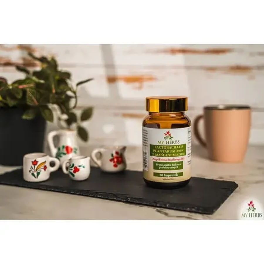 My Herbs Lactobacillus Plantarum 299V з натрієвим масляним ефіром, капсули, 60 шт.: ціни та характеристики