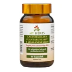 My Herbs Lactobacillus Plantarum 299V з натрієвим масляним ефіром, капсули, 60 шт.: ціни та характеристики