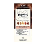 Phyto Color, краска для волос, 6.34 тёмно-медно-блонд, 1 упаковка: цены и характеристики