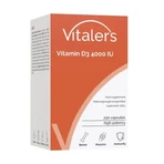 Vitalers Витамин D3 4000 МЕ, капсулы, 240 шт.: цены и характеристики