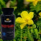 Proherbis Буздыганок наземный, капсулы, 60 шт.