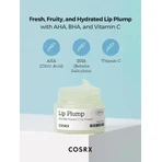 Cosrx Refresh AHA/BHA Vitamin C Lip Plumper, бальзам для губ с эффектом увеличения объёма, 20 г: цены и характеристики