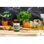 Bio Herbs «Рыбий жир», капсулы, 60 шт.