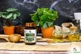 Bio Herbs «Рыбий жир», капсулы, 60 шт.