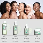 APLB AHA BHA PHA Centella Facial Toner, очищающий тоник для лица с кислотами и центеллой, 160 мл: цены и характеристики