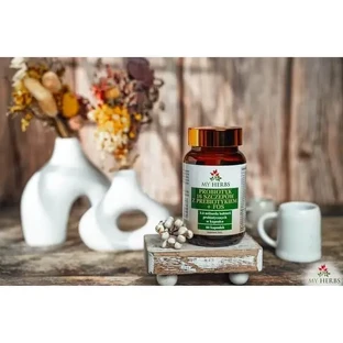 My Herbs Пробиотик с 16 штаммами и пребиотиком + FOS, капсулы, 60 шт.