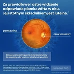 Maxiluten Diabeto, таблетки, 30 шт.: цены и характеристики