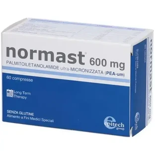 Normast 600 мг, 60 таблеток