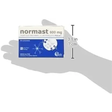 Normast 600 мг, 60 таблеток: ціни та характеристики