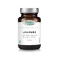 Power Health | Classics Platinum Livapure | Спеціальна формула для печінки з розторопшею (силімарином) | 30 таблеток