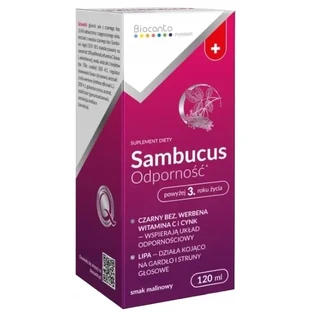 Biocanto Sambucus Сироп для укрепления иммунитета 120 мл