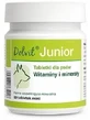 Dolvit Junior Plus Mini, 90 таблеток