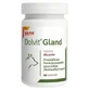 Dolvit Gland, 60 таблеток