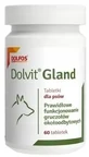 Dolvit Gland, 60 таблеток