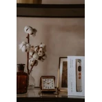 Beautifly, B-Looky PRO, ультразвуковий масажер для зони навколо очей, 1 шт.: ціни та характеристики