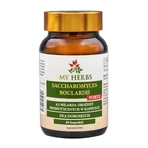 Bio Herbs Saccharomyces Boulardii Forte, капсулы, 60 шт.: цены и характеристики
