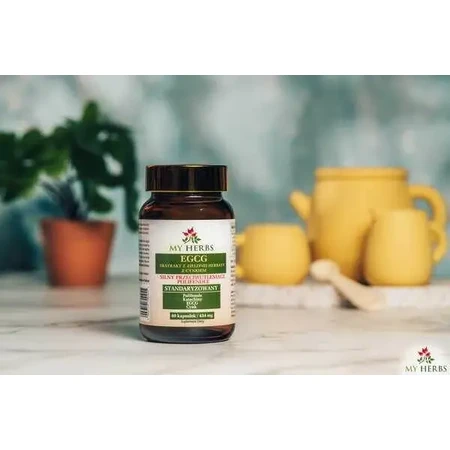 My Herbs EGCG Екстракт зеленого чаю з цинком, капсули, 80 шт.: ціни та характеристики