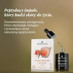 Orientana Ашваганда, омолоджуюча сироватка-ампула, 30 мл: ціни та характеристики