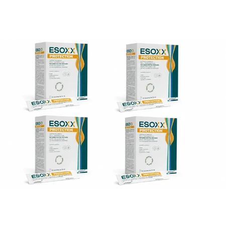 Gerdoff Esoxx Protection, 4x20 пакетиков Sofar: цены и характеристики