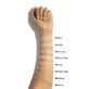 Paese, Nanorevit Natural Finish Longwear Everyday Foundation, тональний крем тривалої стійкості з природним фінішем, 04 Warm Beige, 30 мл