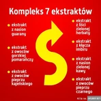 ALE Fast Burner, твердые капсулы, 60 шт.: цены и характеристики