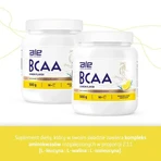 ALE BCAA со вкусом лимона, порошок, 500 г: цены и характеристики