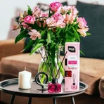 Erla Home Sato Paradise Love, ароматические палочки, 50 мл: цены и характеристики