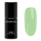 NeoNail, гибридный лак Eternal Fantasies, 7,2 мл