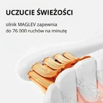 Oclean Flow S, звуковая зубная щетка с 3 насадками, черная, 1 шт.: цены и характеристики