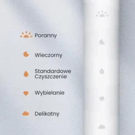 Oclean Flow S, звуковая зубная щетка с 3 насадками, черная, 1 шт.: цены и характеристики