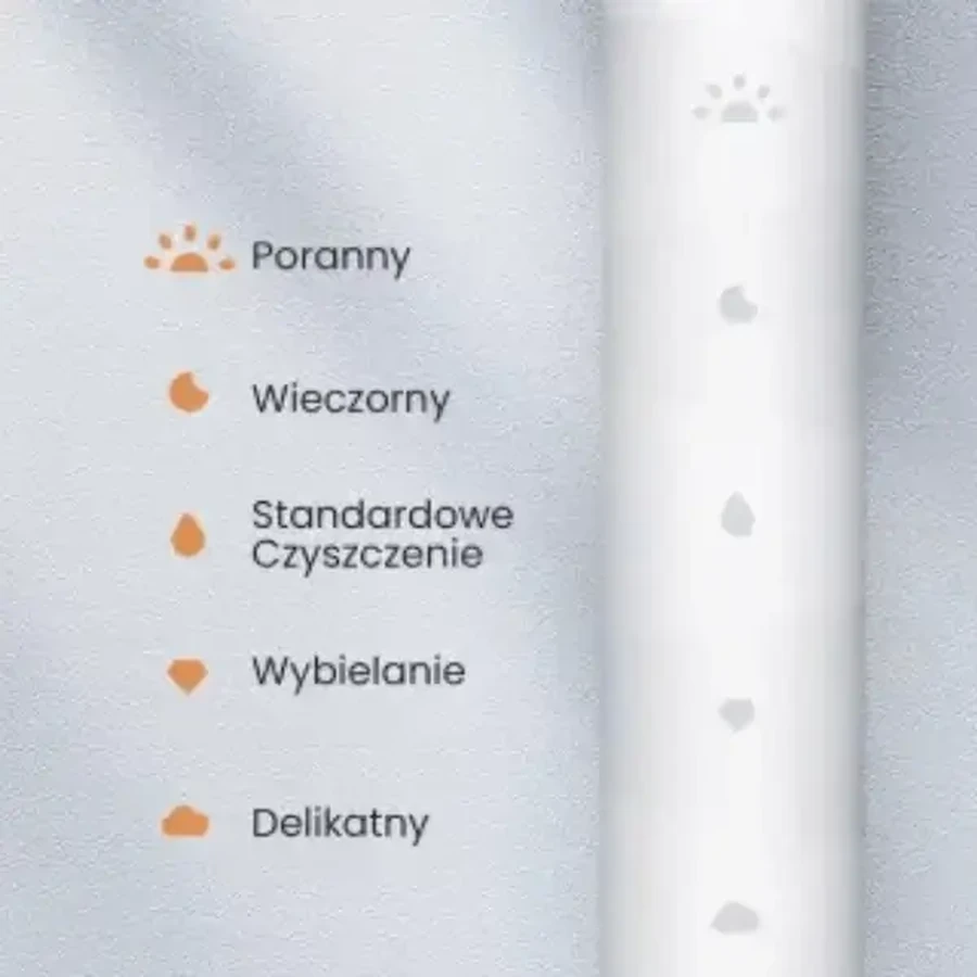 Oclean Flow S, звуковая зубная щетка с 3 насадками, черная, 1 шт.: цены и характеристики