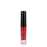 LAVISH CARE Matte Liquid Lipcolor Матова рідка помада № 16, 6 мл