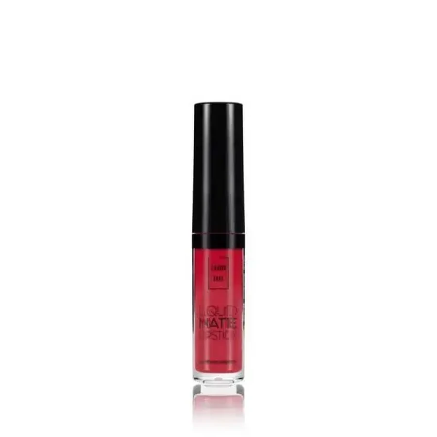 LAVISH CARE Matte Liquid Lipcolor Матовая жидкая помада № 16, 6 мл: цены и характеристики