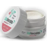 BECALM Lipbecalm Pediatric Repair Balm Восстанавливающий бальзам от сухости, трещин и раздражений на носу и губах у детей, 10 мл