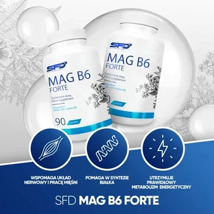 Набор из 2 упаковок SFD MagB6 Forte, таблетки, 90 шт.
