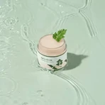 Round Lab Mugwort Calming Cream, крем для лица, 80 мл: цены и характеристики