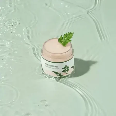 Round Lab Mugwort Calming Cream, крем для лица, 80 мл: цены и характеристики