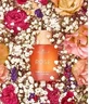 Cocosolis Rose, трояндова олія для очищення обличчя, 50 мл