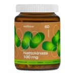 Wellbear Наттокіназа 100 мг, капсули, 60 шт.: ціни та характеристики