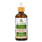 Bio Herbs Липосомальный витаминный комплекс группы B, капли, 100 мл: цены и характеристики