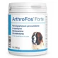 Dolvit Arthrofos Forte 700 г
